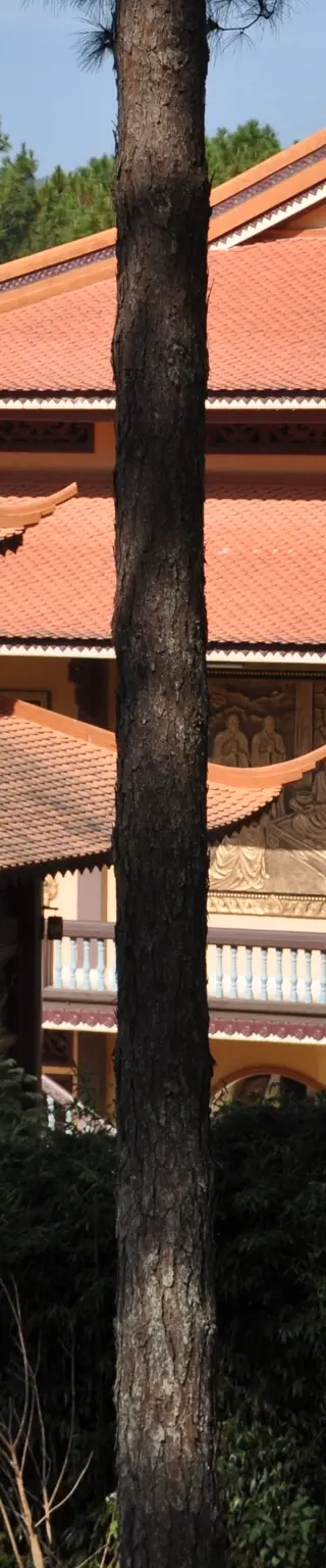 Besichtige den spirituellen Truc Lam Tempel